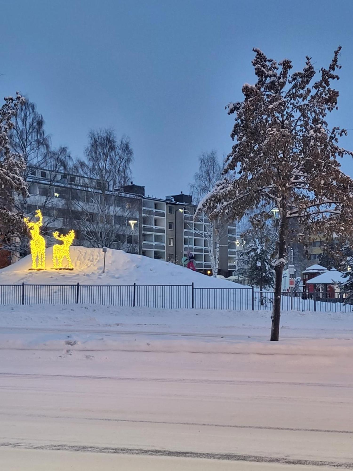 Arctic With Own Sauna *
